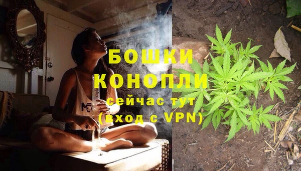 эйфоретик Белокуриха