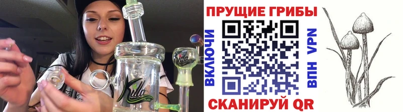 Галлюциногенные грибы MAGIC MUSHROOMS Болотное